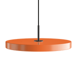 2423C4173
