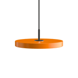 2433C4175