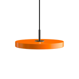 2433C4175